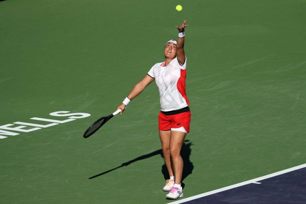 生涯树立了 生涯树立了